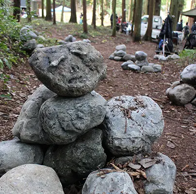 美術館で使われるリアルな造形物の画像2