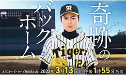 奇跡のバックホームのサムネイル