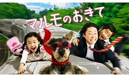 マルモのおきてのサムネイル