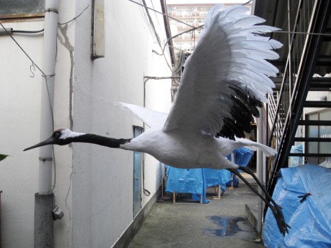 Chin↑Pom個展用の写真1