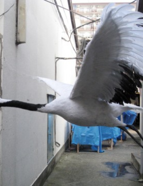 Chin↑Pom個展用のサムネイル