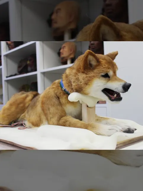 NHK「55歳からのハローワーク」のサムネイル