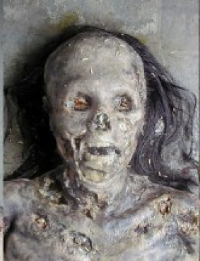 ZOOのサムネイル