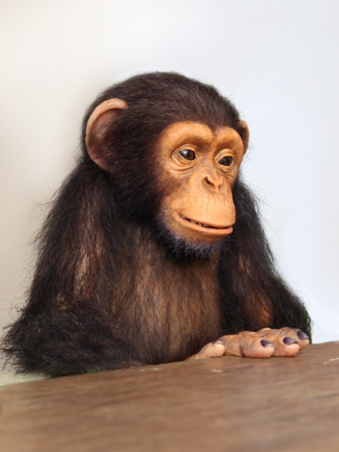 KIRIN 午後の紅茶の写真1