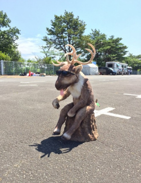 いすゞのサムネイル