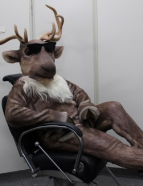 いすゞのサムネイル