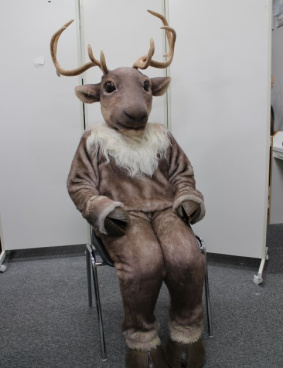 いすゞのサムネイル