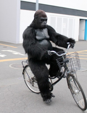 シルバーバックのサムネイル