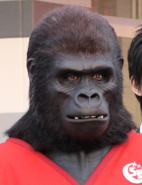 シルバーバックのサムネイル