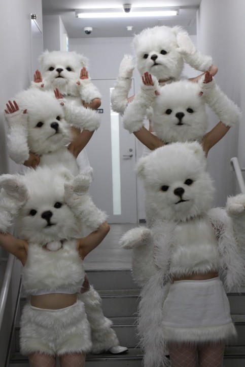 ソフトバンク」の写真1