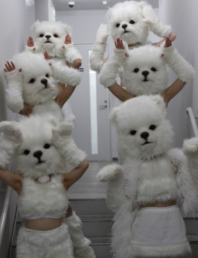 ソフトバンク」のサムネイル