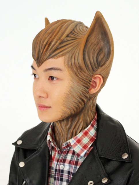 フレッツ光の写真2