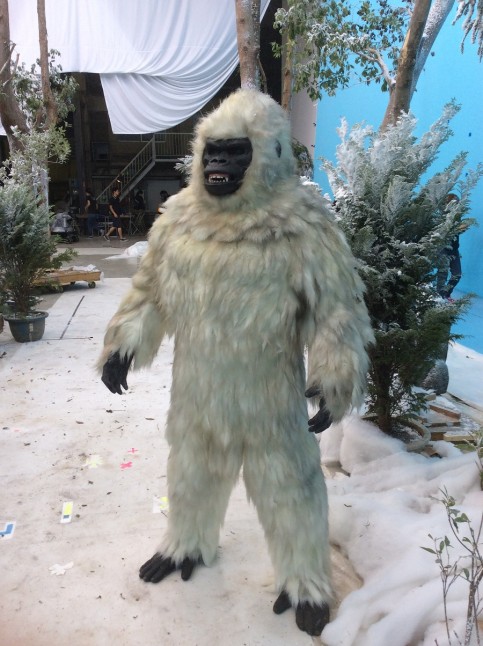 赤いきつねと緑のたぬきの写真1