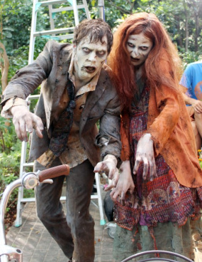 島忠のサムネイル