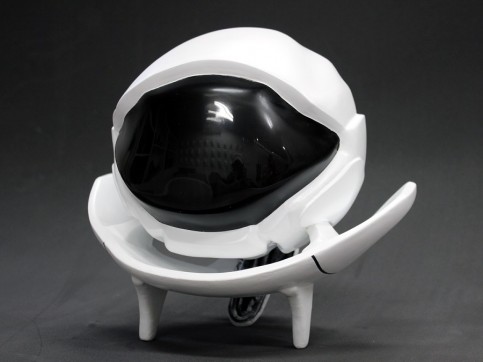 日本ハムの写真1