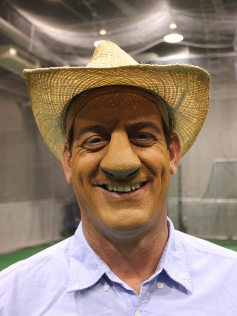 日本ハムの写真2