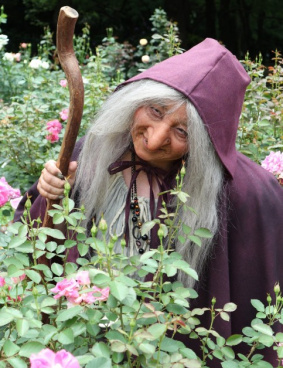 NHK「昔話法廷」のサムネイル