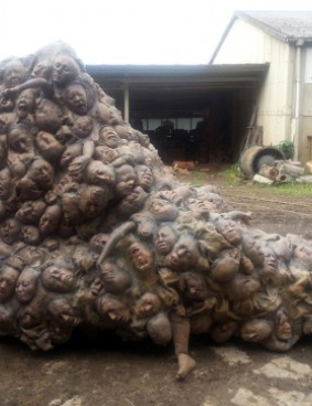 TBS「彼岸島」のサムネイル