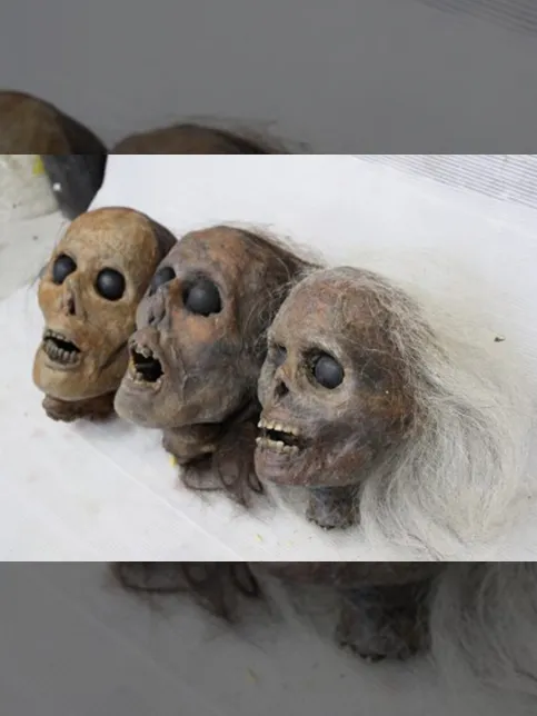 WOWOW「コールドケース」のサムネイル