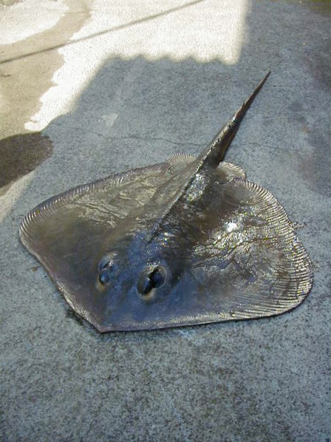 寝ずの番の写真1