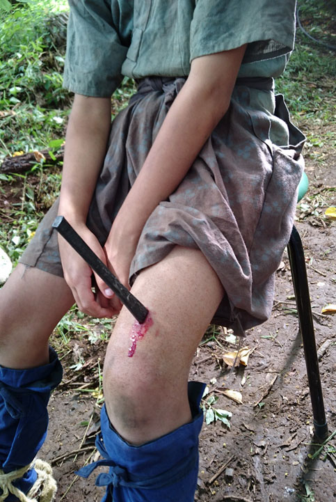 忍びの国の写真1