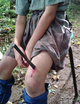 忍びの国のサムネイル