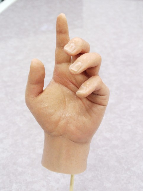 日本テレビ「トリックハンター」の写真1