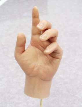 日本テレビ「トリックハンター」のサムネイル