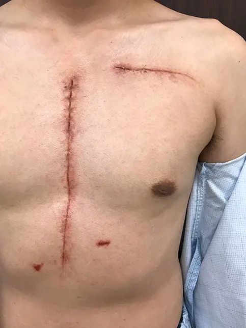 日テレ「世界仰天ニュース」のサムネイル